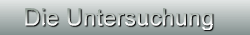 Die Untersuchung